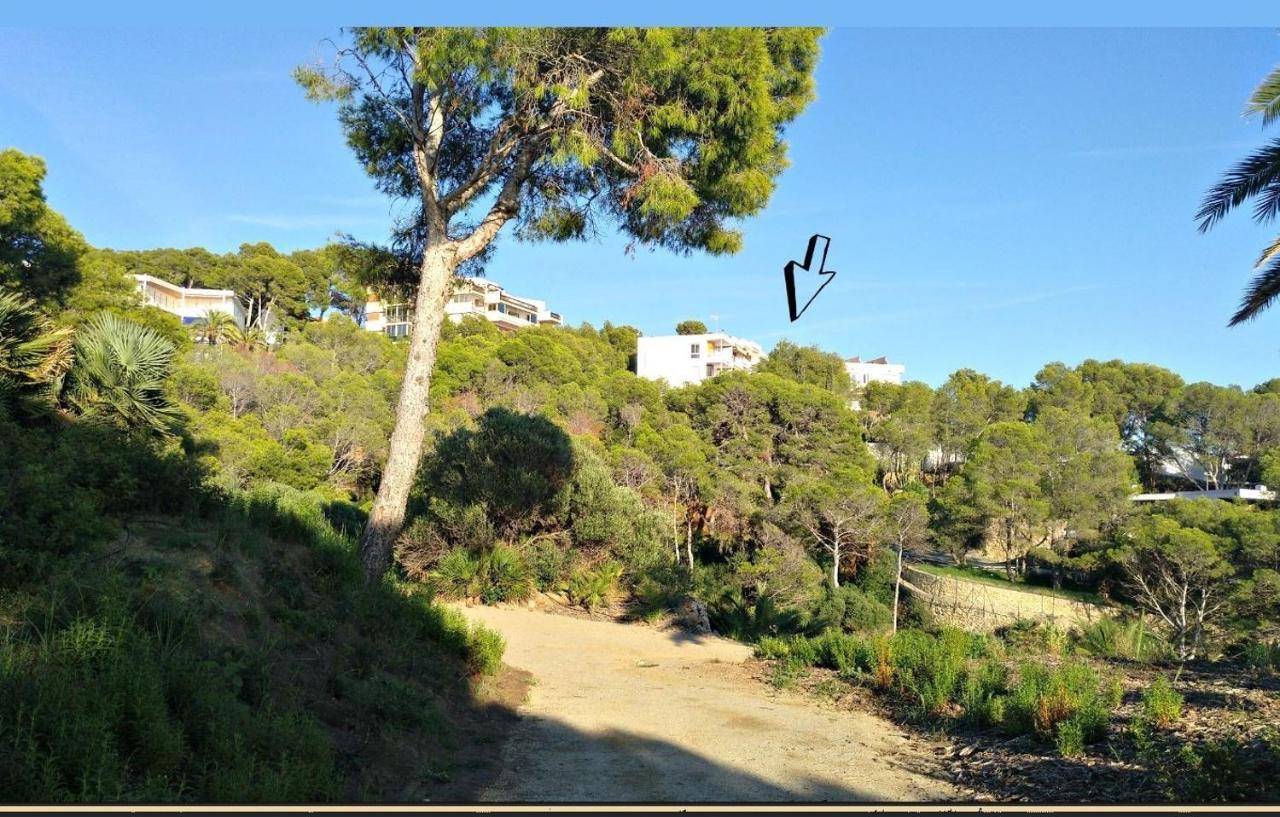Aguila Dorada Daire Salou Dış mekan fotoğraf